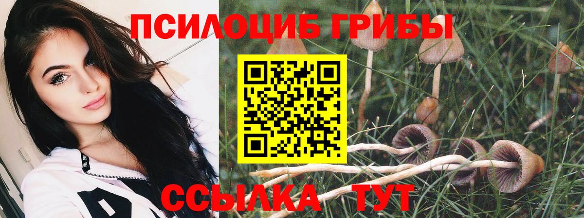 Галлюциногенные грибы Psilocybine cubensis Рассказово
