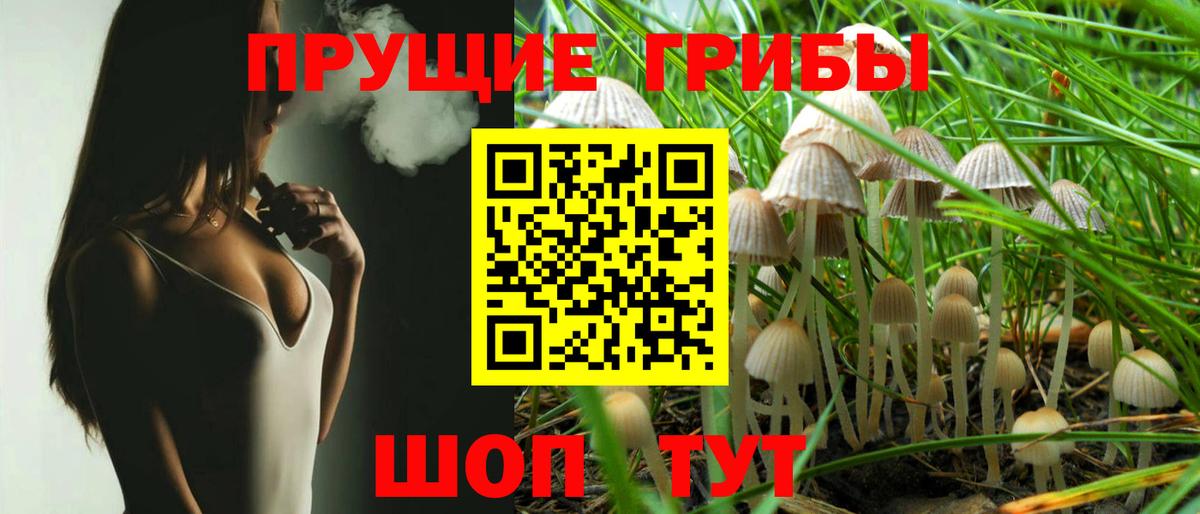 Галлюциногенные грибы ЛСД  Вход с VPN  Рассказово 